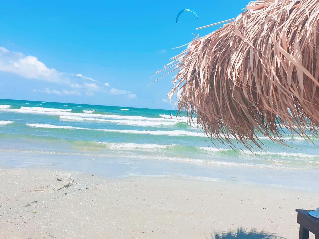 Vila Cozia Otel Eforie Nord Dış mekan fotoğraf